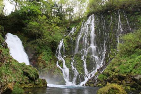 【飛騨高山・岐阜県高山市】乗鞍山麓五色ヶ原の森オー