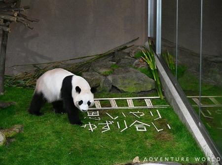 「彩浜（さいひん）」「楓浜（ふうひん）」ありがとう