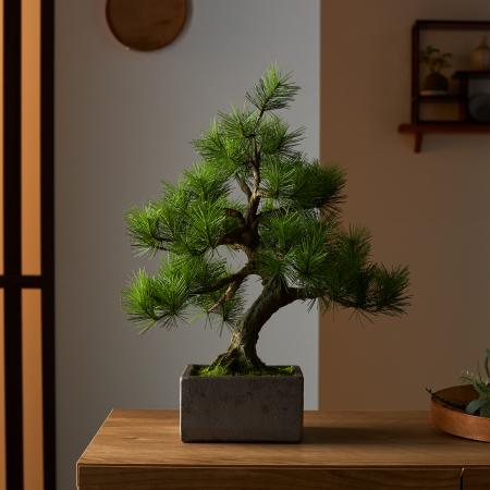 日本の職人が一から制作する本格的工芸盆栽　A-Butf-8