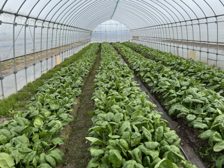 LIFULL Agri Loop、鉄触媒を活用した農業活性化プロジ