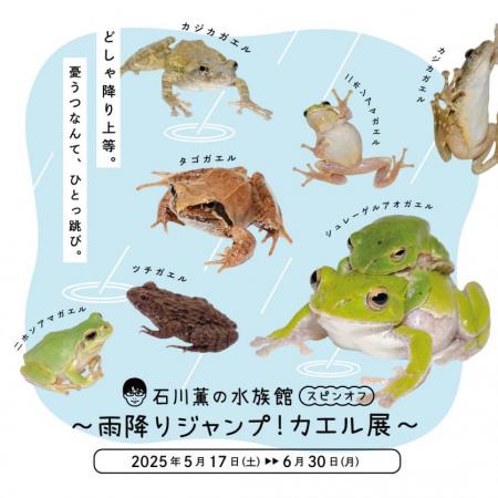 【京都水族館】6月6日「かえるの日」を記念したutf-8