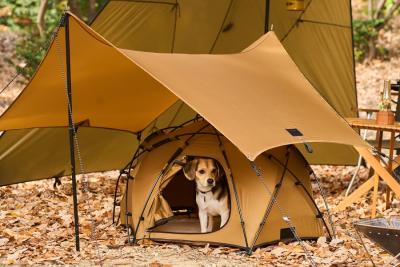 愛犬とキャンプを楽しむ「Wan＆Co.(ワンアンドコー)」