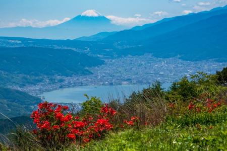 初夏はレンゲツツジの花咲く高ボッチ高原へ行っutf-8