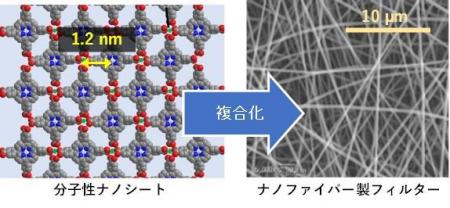 石井和之教授（東京大学）、株式会社ナフィアスutf-8