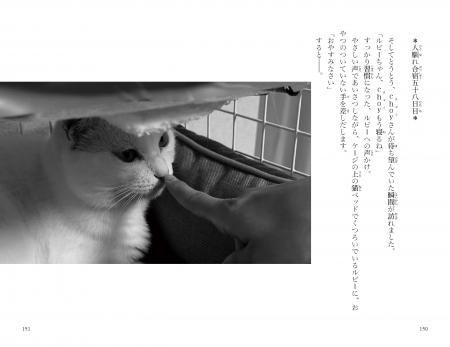 人気テレビ番組「坂上どうぶつ王国」から感動の実話が