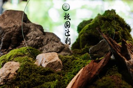 ザ・ホテル青龍 京都清水 × 祇園辻利 コラボレーショ