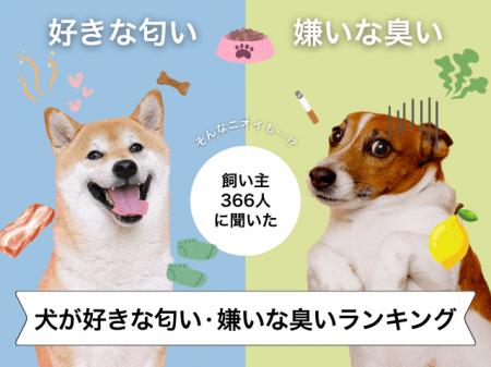 【飼い主366人に調査】犬が好きな匂い・苦手な臭いラ