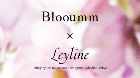 渋谷「Blooumm... 展」6/28(土),29(日)ポップアップス