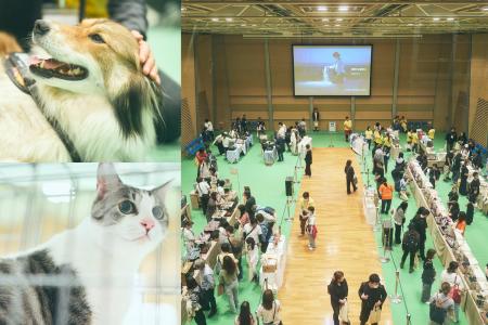 「パナソニック保護犬猫譲渡会2025」開催イベントレポ