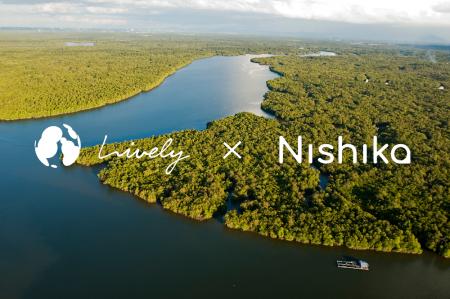LivelyとNishika、森林のCO2吸収量可視化システムの開