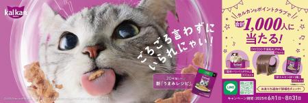 ごろごろ言わずにいられにゃい、20年越しの新「utf-8
