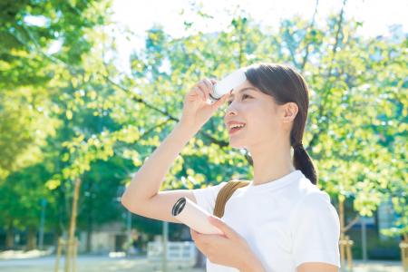 ピーコック魔法瓶　携帯保冷氷のう「アイスパック」シ