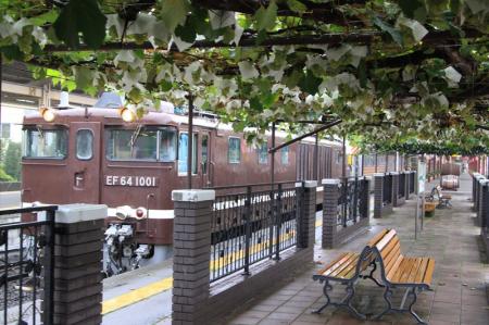 【日本でここだけ！「ぶどう」が育つ駅！】塩尻utf-8