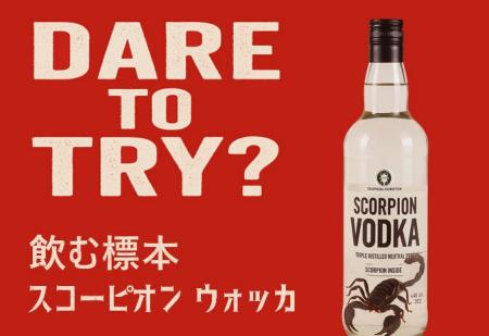 【衝撃】大きなサソリが丸ごと1匹！視線を奪う“飲む標