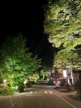 【飛騨高山・岐阜県高山市】福地温泉にて新緑ライトア