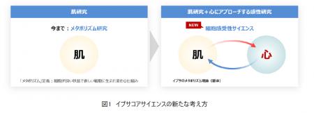 イプサ、メタボリズム研究を発展させ、心にもアプロー