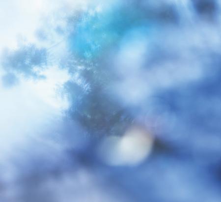 【SHIRO LIMITED PERFUME】OVER THE RAIN