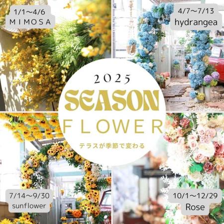 一年を彩る、花の舞台。所沢店の“シーズンフラワーテ