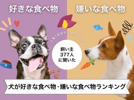 【飼い主377人に調査】犬が好きな食べ物・嫌いな食べ