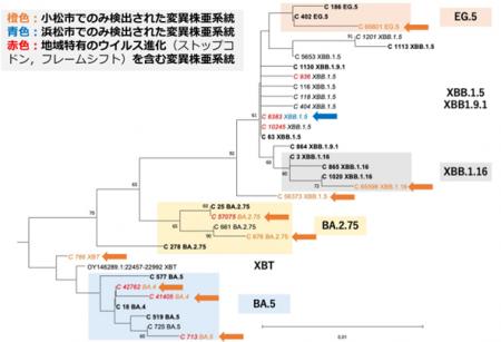 “知られざる変異株”を下水から検出！