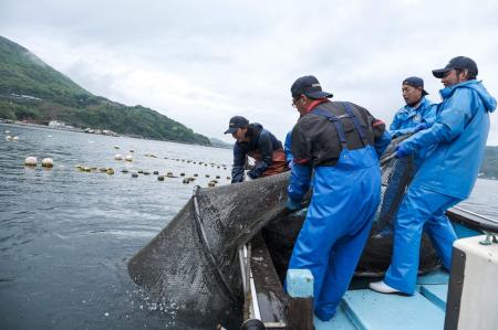 山口県室津で新たな「サステナブル漁業プロジェクト」