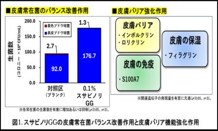 スサビノリ由来成分「GG」の皮膚常在菌バランス改善効