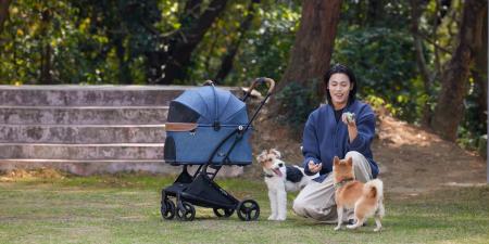 【PETTENA】おかげさまで2周年！感謝の気持ちを込めた