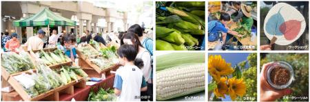 “夏先取り”イベント！産地直送の新鮮な朝採れ夏野菜が