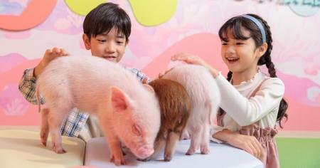 【DMMかりゆし水族館】大好評につき再開催が決定！沖