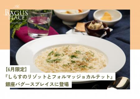 【6月限定ランチ】初夏の味覚とチーズの饗宴「しらす