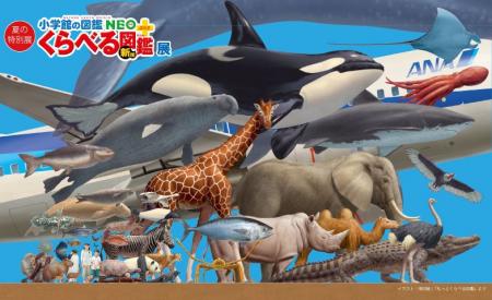 夏の特別展『くらべる図鑑展』開催