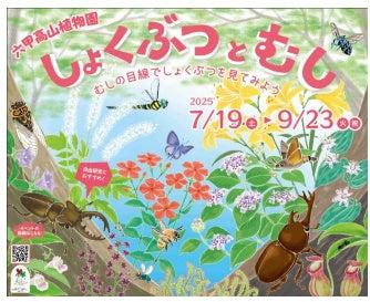 六甲高山植物園×伊丹市昆虫館 夏イベント「しょくぶつ