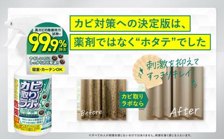 低刺激でもクロカビを99.9%除去※1諦めていたサッシや