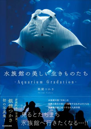 日本のすごすぎる水族館の世界！　SNSで話題の新進気
