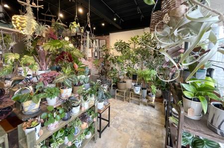 買って終わりじゃない。植物を”育てる”楽しさに寄り添