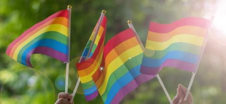 日本初（※）LGBT向け結婚相談所リザライ、今年も日本