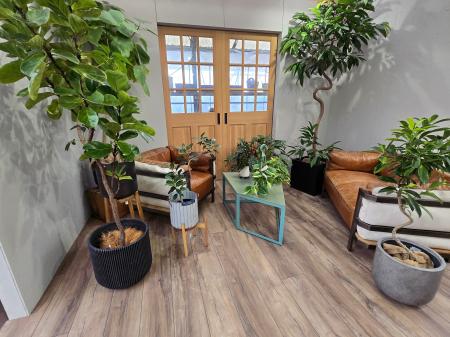 オフィス向け観葉植物サブスク「GreenOffice」サービ