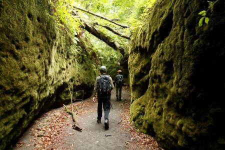 北海道支笏湖のパワースポット「苔の回廊」を巡る人気