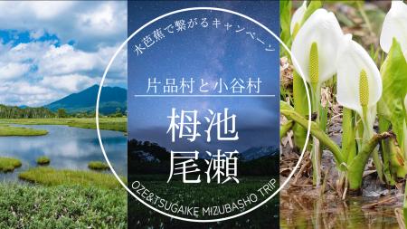 6月7日（土）小谷村・栂池自然園オープン！小谷村×片