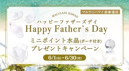 【6月限定】ポイント水晶プレゼントキャンペーン♪「Ha