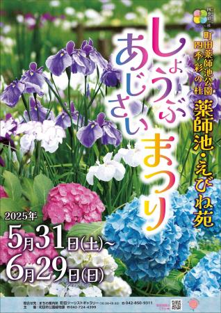【東京都町田市】町田薬師池公園四季彩の杜「しょうぶ