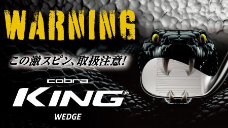 革新的なMIM製法と新開発スピードノッチ搭載　新KING