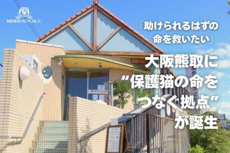 大阪熊取に“保護猫の命をつなぐ拠点”が誕生 ── 保護猫