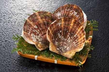【鶴雅グループ70周年記念】「サロマ湖 鶴雅リゾート