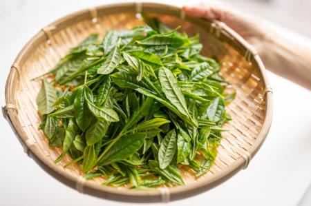 今日は「狭山茶の日」。地元・埼玉の素晴らしさを自信