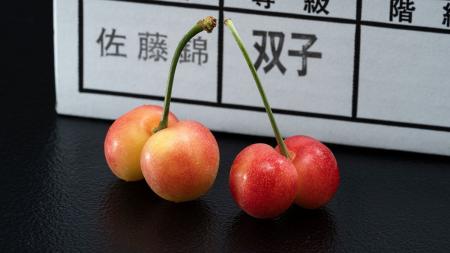 産地で増加している「双子果」を全国のフルーツ好きに