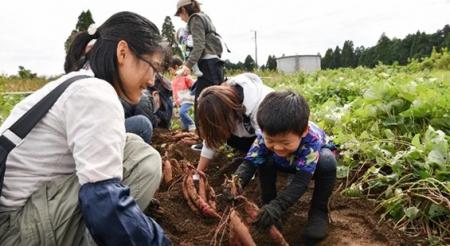 子どもたちに“食”を育てる本物の体験を。畑のお手伝い