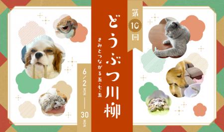 アニコム損保の第十回「どうぶつ川柳」、募集開始！入