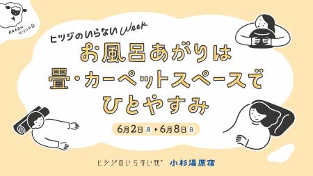 6月6日は“ひつじの日”！ヒツジのいらない枕×小杉utf-8