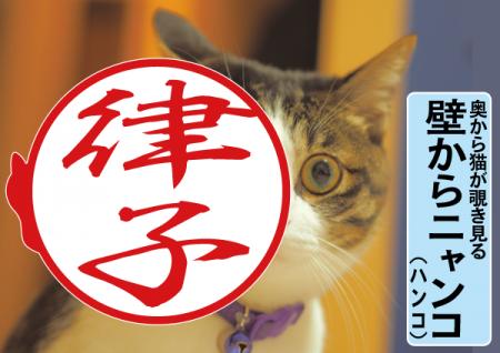 猫とハグする日を記念して6月2日から発売開始　外枠か